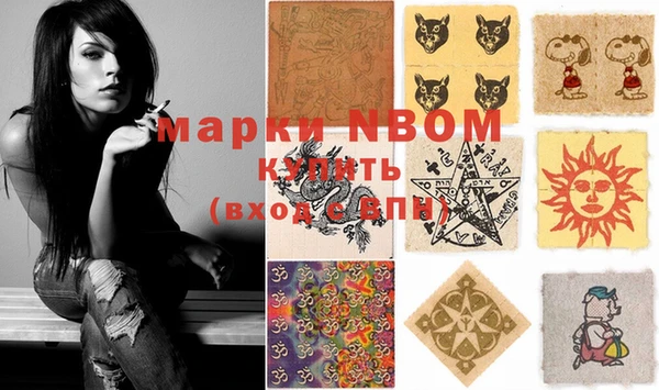 стафф Заволжье