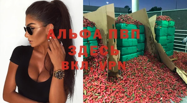 крисы Зеленокумск